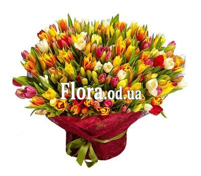 Bouquet of 301 tulips Bouquet of 301 tulips