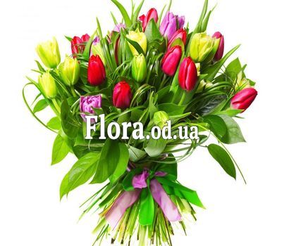 Букет из 31 тюльпана с зеленью