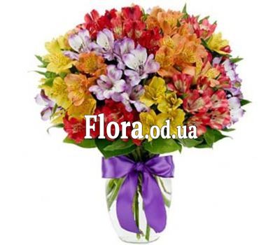 Букет из 35 альстромерий