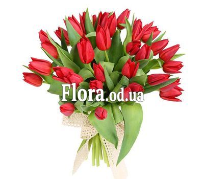 Букет из 35 красных тюльпанов