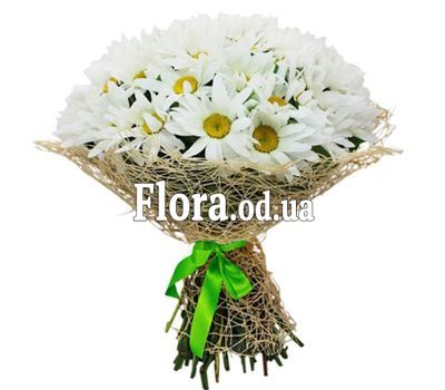 Bouquet of 35 chamomiles