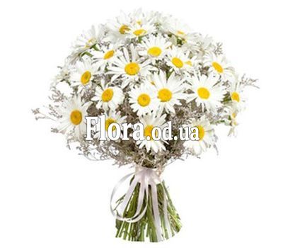 Bouquet of 39 chamomiles