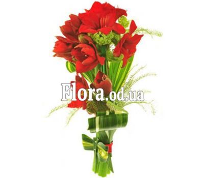 Букет из 5 амариллисов