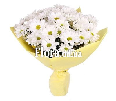 Bouquet of 7 chamomile flowers Bouquet of 7 chamomile flowers
