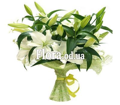 Букет из 9 белых лилий