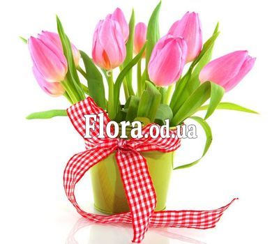 Букет из 9 тюльпанов в кашпо