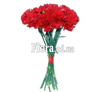 Bouquet of red carnations Bouquet of red carnations