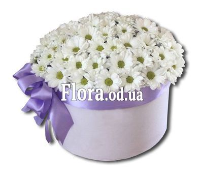 A bouquet of camomiles in a box