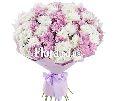 Bouquet of 15 chrysanthemums Bouquet of 15 chrysanthemums