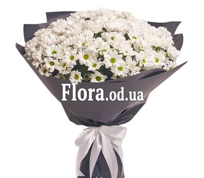 Bouquet of 17 chamomile flowers