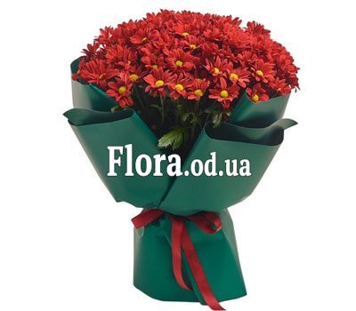 Bouquet of 21 chamomile chrysanthemums