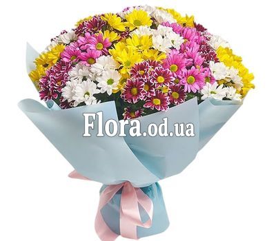 Букет из 23 хризантем Букет из 23 хризантем