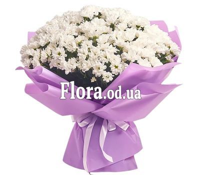 Букет из 35 ромашковых хризантем Букет из 35 ромашковых хризантем