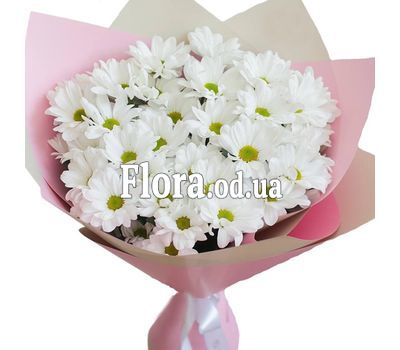 Букет з 5 ромашкових хризантем Букет з 5 ромашкових хризантем