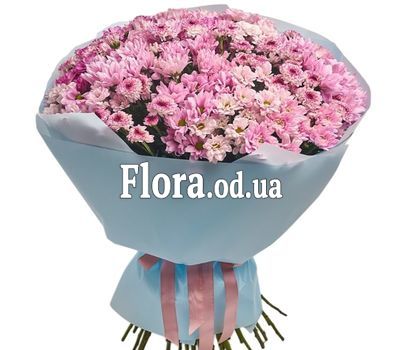 Букет из 51 хризантемы Букет из 51 хризантемы