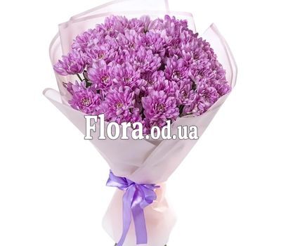 Bouquet of 7 chrysanthemums