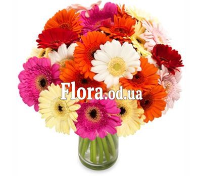 Gerbera bouquet Gerbera bouquet