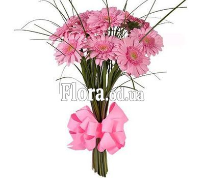 Гербери з доставкою