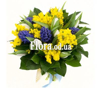 Hyacinths and mimosa