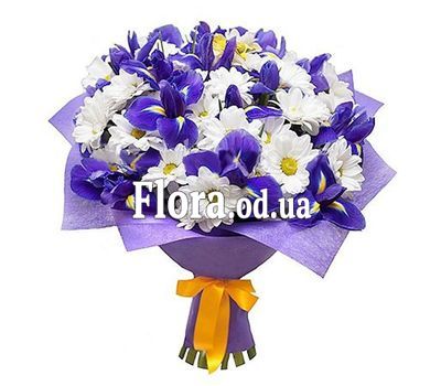 Chrysanthemums and irises