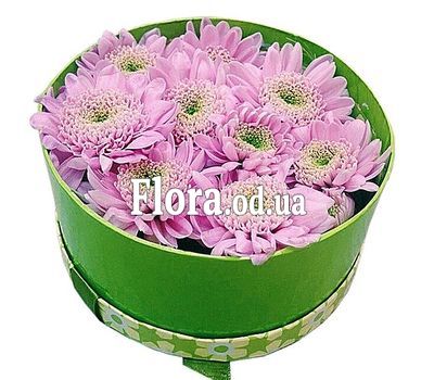 Chrysanthemums in a box