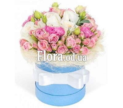 Composition in a Hat Box