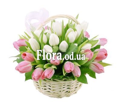 Basket of 35 Tulips