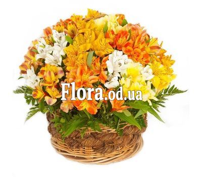 Basket of alstroemerias