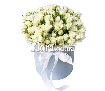 Shrub roses in a box