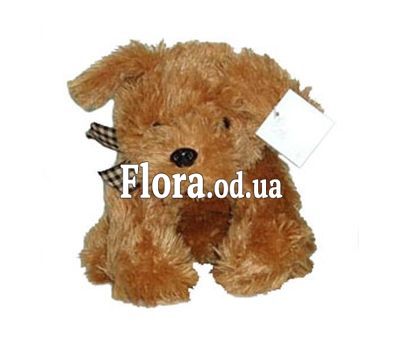 Soft Toy Dog