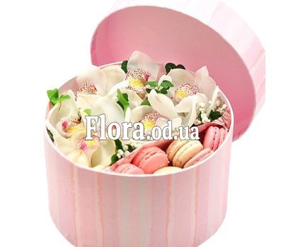 Нежные орхидеи и макаруны