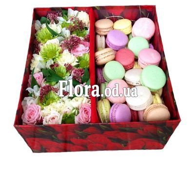 A huge box with Macarons
