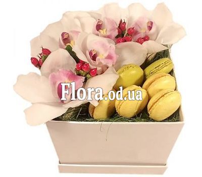 Орхидеи и Macarons в коробке