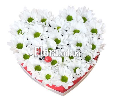 Сердце из 7 хризантем Сердце из 7 хризантем