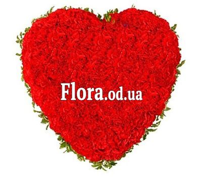 Heart of 101 red carnations Heart of 101 red carnations