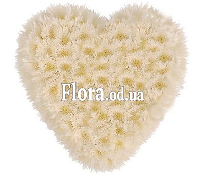 Heart of 25 Chrysanthemums