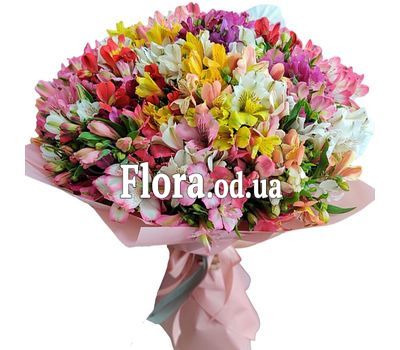 Большой букет из 101 альстромерии