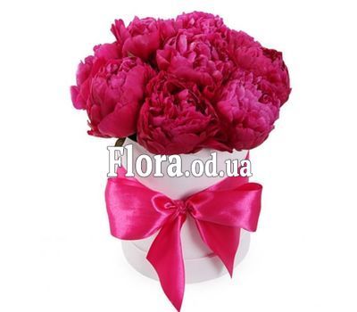 11 claret peonies in a box