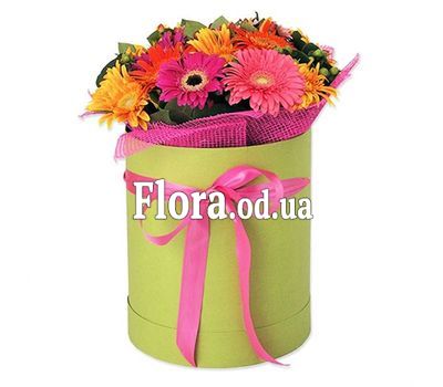 15 гербер в коробке