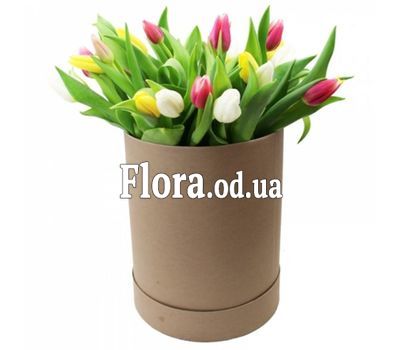 15 тюльпанів в коробці
