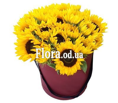 21 подсолнух в коробке