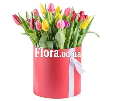 21 різнокольоровий тюльпан в коробці