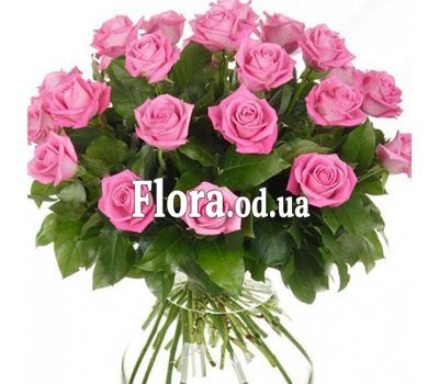 21 розовая роза