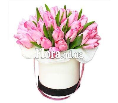 25 тюльпанів в коробці