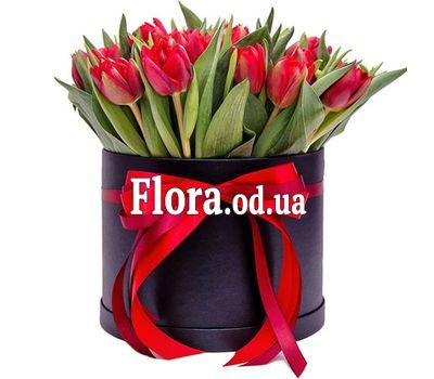 29 червоних тюльпанів в коробці