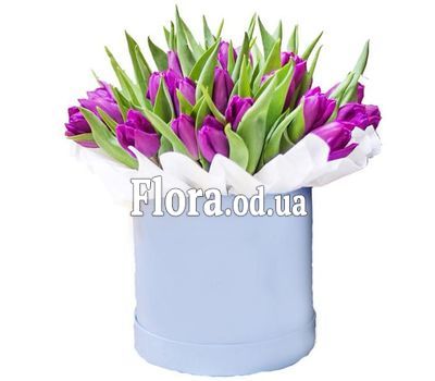 31 фіолетовий тюльпан в коробці 31 фіолетовий тюльпан в коробці