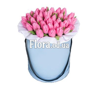 31 рожевий тюльпан в коробці