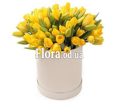 35 жовтих тюльпанів у коробці