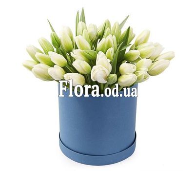 45 білих тюльпанів в коробці