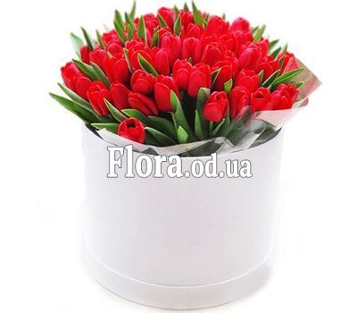 45 red tulips in a box